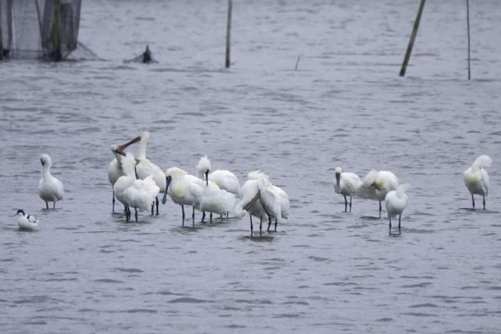 Apartamento Water Bird Family Toucheng Exterior foto
