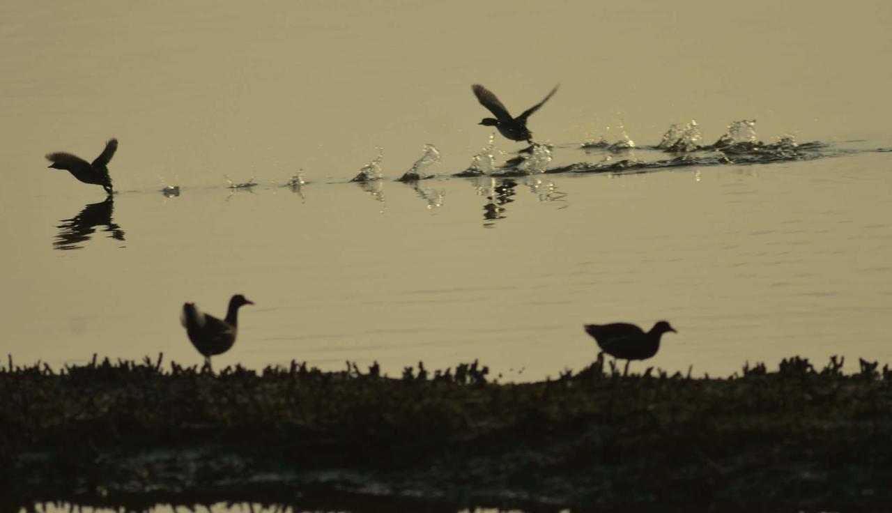 Apartamento Water Bird Family Toucheng Exterior foto